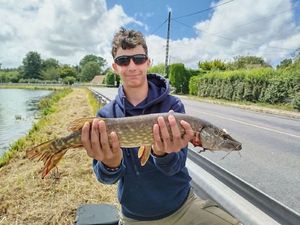 Northern Pike