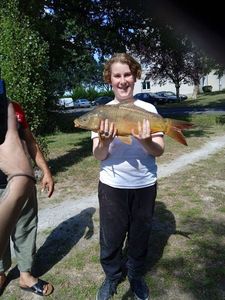 Common Carp