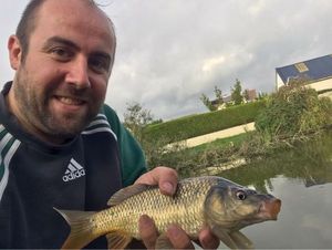 Common Carp