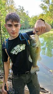 Largemouth Bass