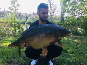 Leather Carp