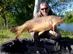Mirror Carp