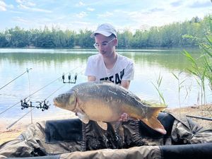 Mirror Carp