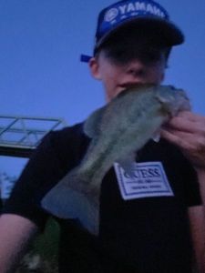 Largemouth Bass