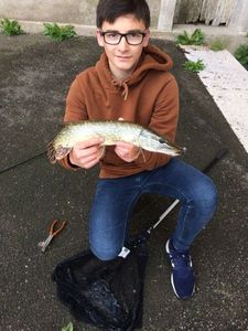 Northern Pike