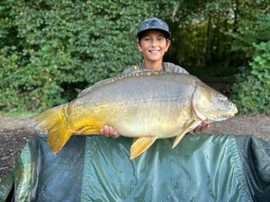 Mirror Carp