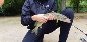 Northern Pike