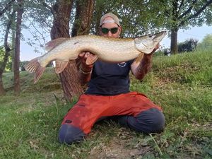 Northern Pike