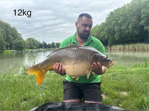 Leather Carp