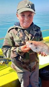 Atlantic Salmon (Juvenile)