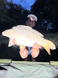 Mirror Carp