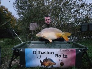 Mirror Carp