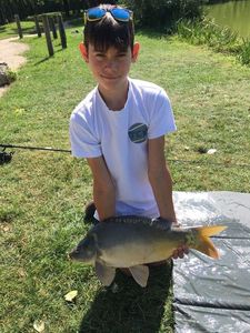 Mirror Carp