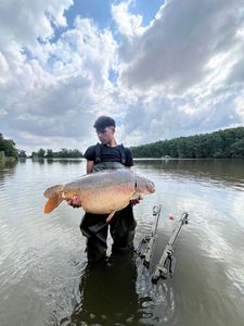 Mirror Carp