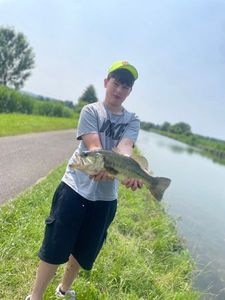 Largemouth Bass