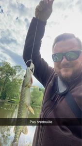 Chain Pickerel