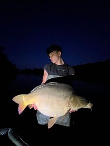 Mirror Carp