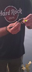 Chub