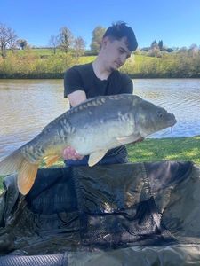 Mirror Carp