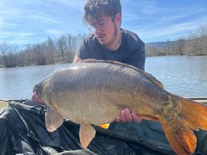 Mirror Carp