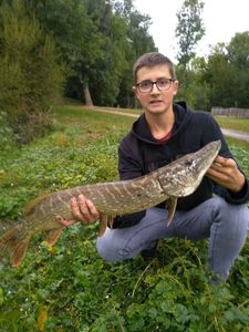 Northern Pike