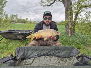 Mirror Carp