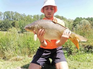 Mirror Carp