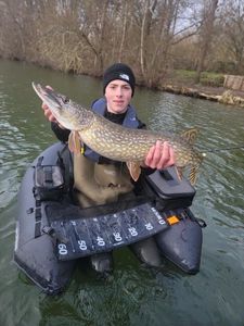 Northern Pike