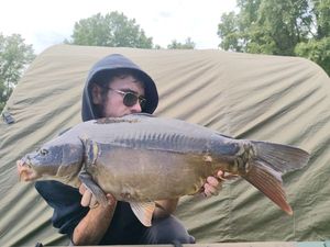 Mirror Carp