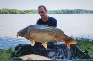 Mirror Carp