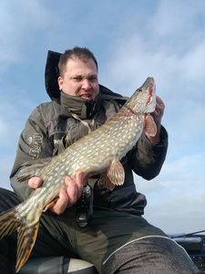 Northern Pike