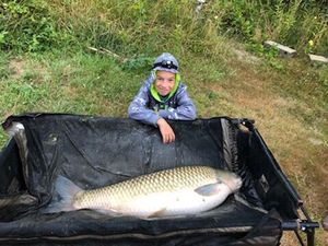 Grass Carp
