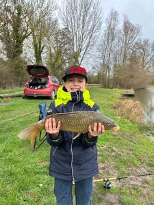 Common Carp