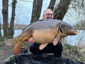 Mirror Carp