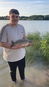 Common Carp