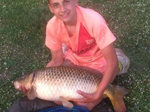 Common Carp