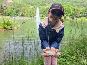 Rainbow Trout