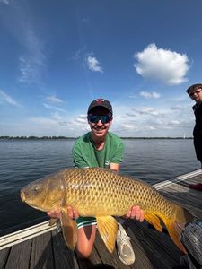 Common Carp