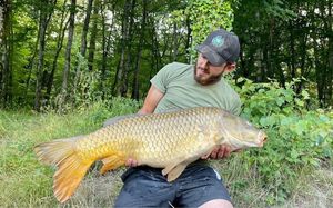 Common Carp