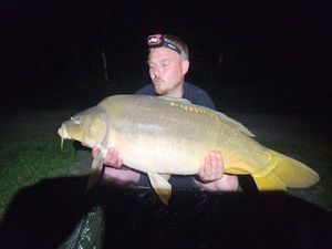 Mirror Carp