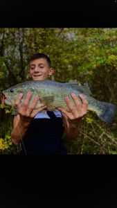Smallmouth Bass