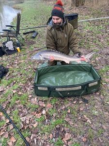 Sturgeon