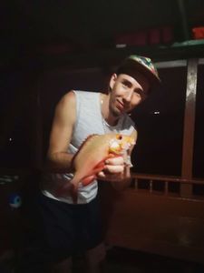 Red snapper