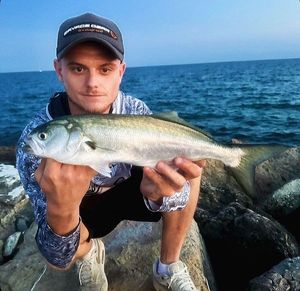 Bluefish