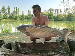 Grass Carp