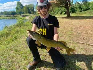 Northern Pike