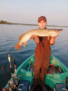 Northern Pike