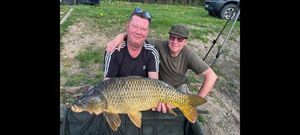 Common Carp