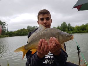 Mirror Carp