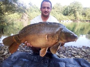 Mirror Carp